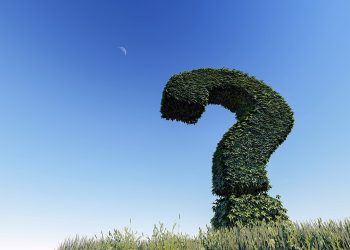 question mark, knowledge, question, sign, symbol, mark, night sky, ask, help, problem, answer, information, solution, why, advice, text, 3d, choice, nature, choose, which, direction, leaves, tree, grass, sky, moon, blue tree, blue moon, blue help, blue grass, blue question, blue leaf, blue information, blue leaves, blue knowledge